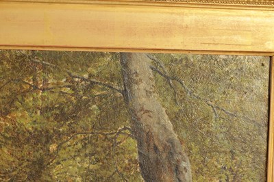 Lot 1042 - HENRY JOHN KINNAIRD (1880-1908). A 19TH CENTURY OIL ON CANVAS WOODLAND SCENE