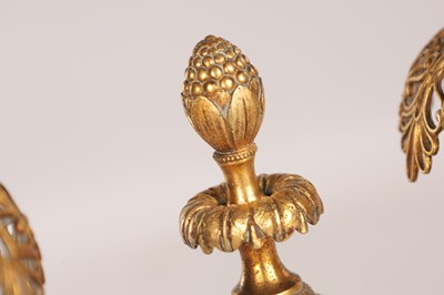 Lot 730 - A PAIR OF REGENCY FRENCH BRONZE AND GILT BRONZE TWO BRANCH CANDELABRA