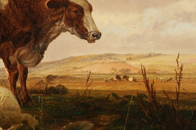 Lot 978 - THOMAS SIDNEY COOPER (1803-1902) OIL ON CANVAS