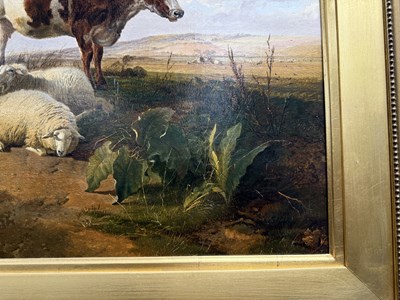Lot 978 - THOMAS SIDNEY COOPER (1803-1902) OIL ON CANVAS