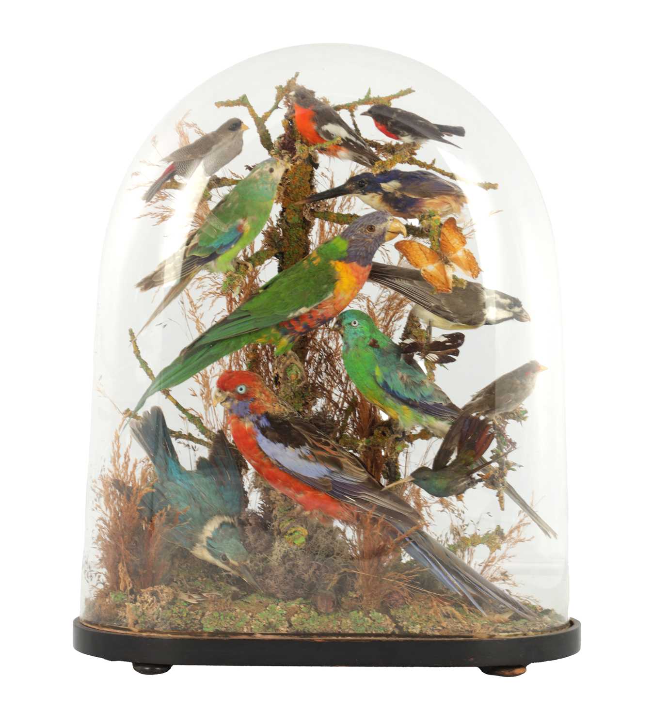 Lot 786 - A 19TH CENTURY TAXIDERMY BIRD DISPLAY