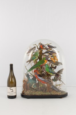 Lot 786 - A 19TH CENTURY TAXIDERMY BIRD DISPLAY