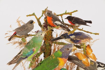 Lot 786 - A 19TH CENTURY TAXIDERMY BIRD DISPLAY