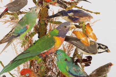Lot 786 - A 19TH CENTURY TAXIDERMY BIRD DISPLAY