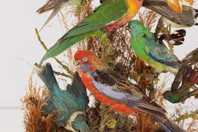 Lot 786 - A 19TH CENTURY TAXIDERMY BIRD DISPLAY