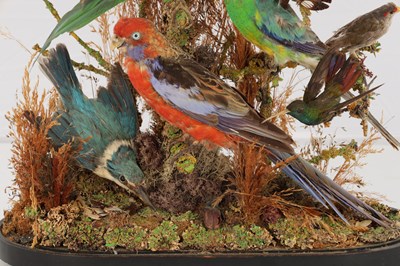 Lot 786 - A 19TH CENTURY TAXIDERMY BIRD DISPLAY