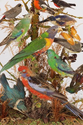 Lot 786 - A 19TH CENTURY TAXIDERMY BIRD DISPLAY