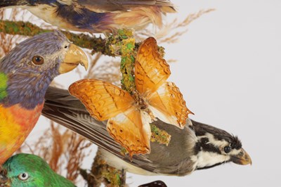 Lot 786 - A 19TH CENTURY TAXIDERMY BIRD DISPLAY