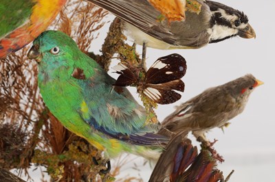 Lot 786 - A 19TH CENTURY TAXIDERMY BIRD DISPLAY