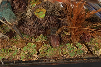 Lot 786 - A 19TH CENTURY TAXIDERMY BIRD DISPLAY