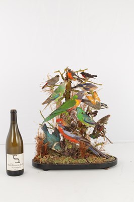 Lot 786 - A 19TH CENTURY TAXIDERMY BIRD DISPLAY