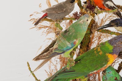 Lot 786 - A 19TH CENTURY TAXIDERMY BIRD DISPLAY