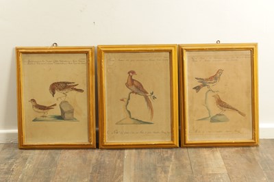 Lot 1070 - A FRAMED SET OF SIX 18TH CENTURY ITALIAN ORNITHOLOGICAL WATERCOLOURS