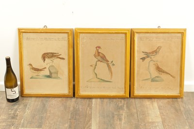 Lot 1070 - A FRAMED SET OF SIX 18TH CENTURY ITALIAN ORNITHOLOGICAL WATERCOLOURS