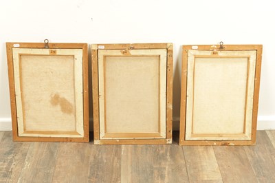 Lot 1070 - A FRAMED SET OF SIX 18TH CENTURY ITALIAN ORNITHOLOGICAL WATERCOLOURS