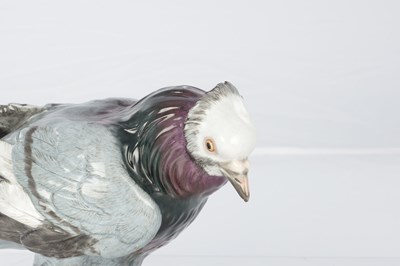 Lot 21 - A 19TH CENTURY MEISSEN PORCELAIN SCULPTURE OF A PIGEON