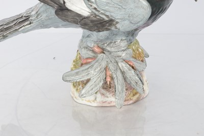 Lot 21 - A 19TH CENTURY MEISSEN PORCELAIN SCULPTURE OF A PIGEON