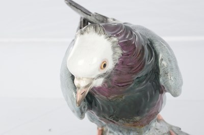 Lot 21 - A 19TH CENTURY MEISSEN PORCELAIN SCULPTURE OF A PIGEON