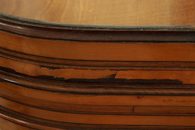 Lot 1663 - A GOOD EARLY 19TH CENTURY SATINWOOD AND MAHOGANY INLAID DISPLAY CABINET IN THE MANNER OF JOHN HOWARD AND SON