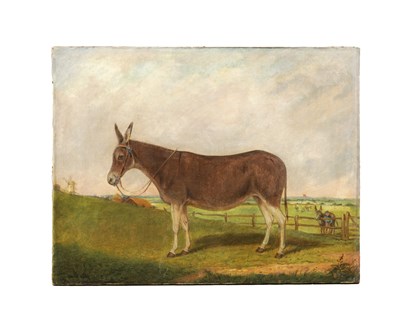 Lot 1228 - A 19TH CENTURY NIAVE SCHOOL OIL ON CANVAS PORTRAIT OF A PRIZE DONKEY