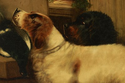 Lot 1215 - GEORGE ARMFIELD (1810 - 1893). A LARGE 19TH CENTURY OIL ON CANVAS "THE SPORTSMAN'S DOGS"