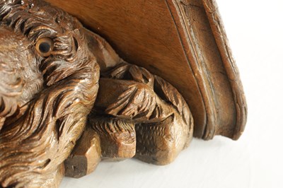 Lot 939 - A 19TH CENTURY BLACK FOREST CARVED LINDEN WOOD HANGING BRACKET FORMED AS A DOGS HEAD
