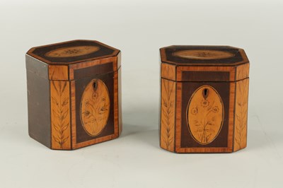 Lot 700 - A PAIR OF GEORGIAN MAHOGANY AND SATINWOOD PENWORK TEA CADDIES