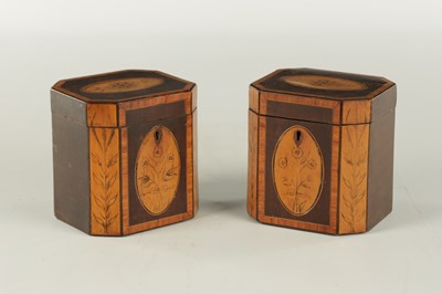 Lot 700 - A PAIR OF GEORGIAN MAHOGANY AND SATINWOOD PENWORK TEA CADDIES