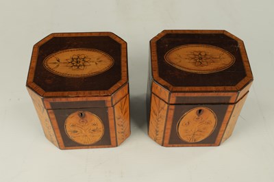 Lot 700 - A PAIR OF GEORGIAN MAHOGANY AND SATINWOOD PENWORK TEA CADDIES