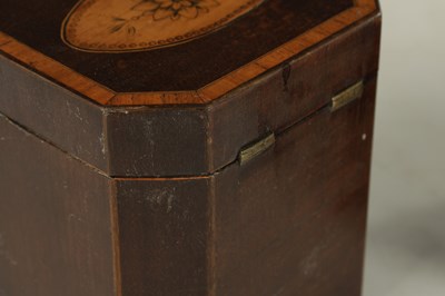 Lot 700 - A PAIR OF GEORGIAN MAHOGANY AND SATINWOOD PENWORK TEA CADDIES