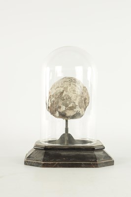 Lot 341 - AN EARLY CARVED STONE HEAD UNDER GLASS DOME