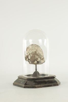Lot 341 - AN EARLY CARVED STONE HEAD UNDER GLASS DOME