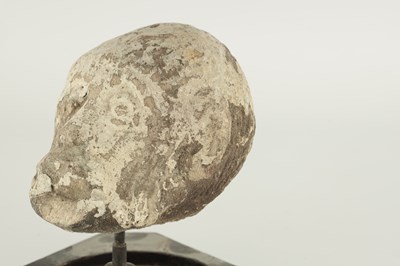 Lot 341 - AN EARLY CARVED STONE HEAD UNDER GLASS DOME