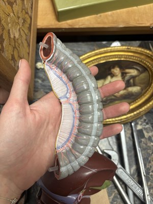 Lot 759 - A SOMSO PLASTER ANATOMICAL FIGURE OF A MAN