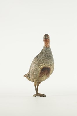Lot 674 - FRANZ BERGMAN. A LATE 19TH CENTURY LIFE-SIZE COLD PAINTED BRONZE SCULPTURE OF A PARTRIDGE