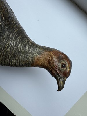 Lot 674 - FRANZ BERGMAN. A LATE 19TH CENTURY LIFE-SIZE COLD PAINTED BRONZE SCULPTURE OF A PARTRIDGE