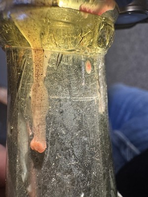 Lot 2 - AN 18TH CENTURY GLASS ONION BOTTLE