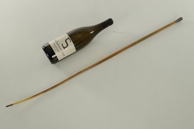 Lot 798 - A 19TH CENTURY EASTERN SILVER TOPPED RHINOCEROS HORN WALKING CANE