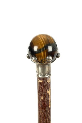 Lot A 19TH CENTURY EYE OF THE TIGER HANDLED WALKING CANE