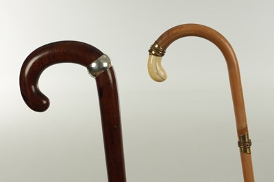 Lot 384 - TWO 19TH CENTURY HOOK HANDLE WALKING STICKS