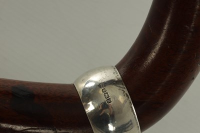 Lot 384 - TWO 19TH CENTURY HOOK HANDLE WALKING STICKS