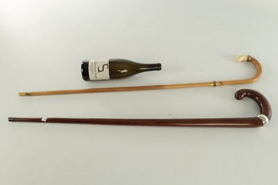 Lot 384 - TWO 19TH CENTURY HOOK HANDLE WALKING STICKS