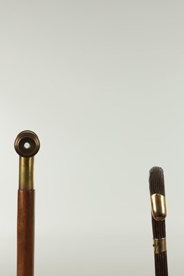 Lot 302 - TWO 19TH CENTURY WALKING STICKS