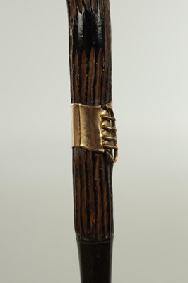 Lot 302 - TWO 19TH CENTURY WALKING STICKS
