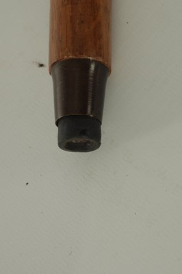 Lot 302 - TWO 19TH CENTURY WALKING STICKS