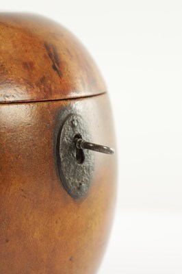 Lot 755 - A GEORGE III FRUITWOOD "APPLE" TEA CADDY
