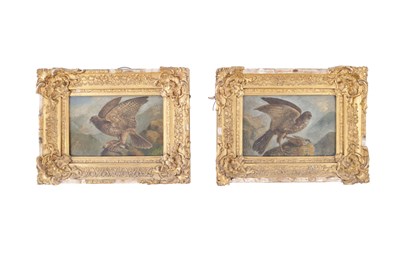 Lot 862 - A PAIR OF 19TH CENTURY OIL ON BOARDS DEPICTING BIRDS WITH THEIR PREY