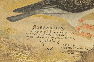 Lot 894 - A MID 20TH CENTURY NAIVE OIL ON CANVAS PORTRAIT OF A RACING PIGEON