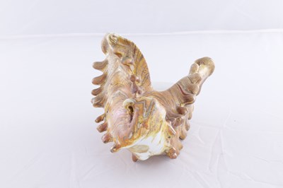 Lot 3 - A MASSIMO MICHELUZZI (B.1957) LARGE GLASS CONCH SHELL WITH OPAL INTERIOR