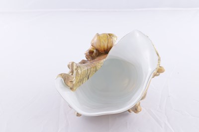 Lot 3 - A MASSIMO MICHELUZZI (B.1957) LARGE GLASS CONCH SHELL WITH OPAL INTERIOR